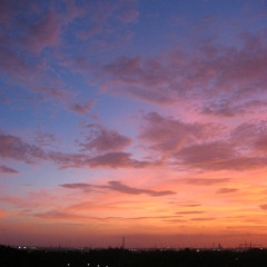 ちいさな君とお陽さま鳥 青い絵の具の夜空でうたう