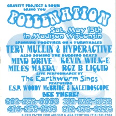 Pollenation 2 Mindrive - Hyperactive - Terry Mullan May 15, 1993