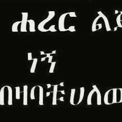 Tsegaye Eshetu -- Dire Harar HD