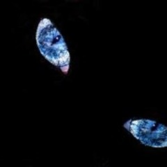 Avanea " Anrol"  Remix VirtualMk2 (Hervé)