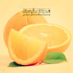 Marjan Farsad - Porteghale Man