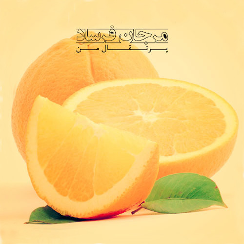 Marjan Farsad - Porteghale Man