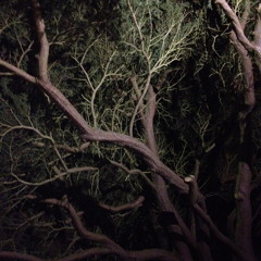 APPIAN MIX 002 - Natan H