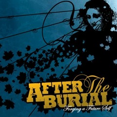 After the Burial - A Steady Decline | Full instrumental cover