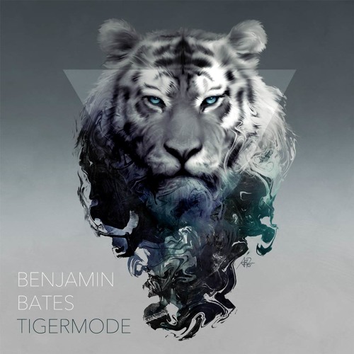 Tigermode #001 - January 2014