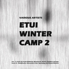 Alessandro Crimi - Quantum Realm - Etui Winter Camp 2