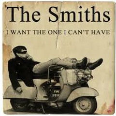 The Smiths - I Want the One i can't Have ( Cover )