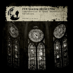 TTT-14 FFM Shadow Orchestra - Comprehension Of Sweet Sounds (Eccentric Variation By Low Entropy)