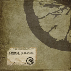 ZUUR001 Somatic Responses - Blackbird SR-71