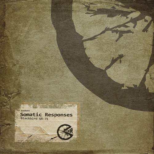 ZUUR001 Somatic Responses - Blackbird SR-71