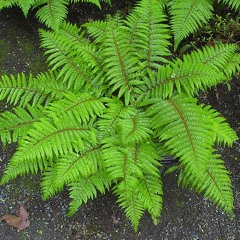 UMEK - Live at Shine Belfast