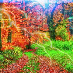 Merlins Traum (Promo Set 2014)