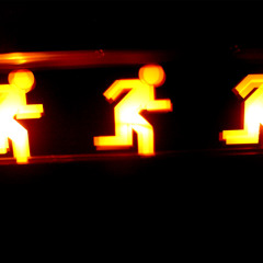 Sanctuary ( Echo The Forest Single )