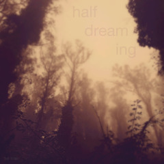 half dreaming