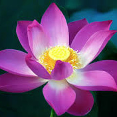 27 RẢI TÂM TỪ