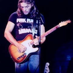 Pink Floyd - Dogs: Live Guitar Solo