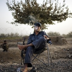 Classic Tastes (The Twilight Spliff)