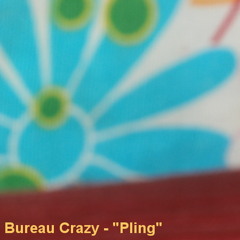 Bureau Crazy - Pling
