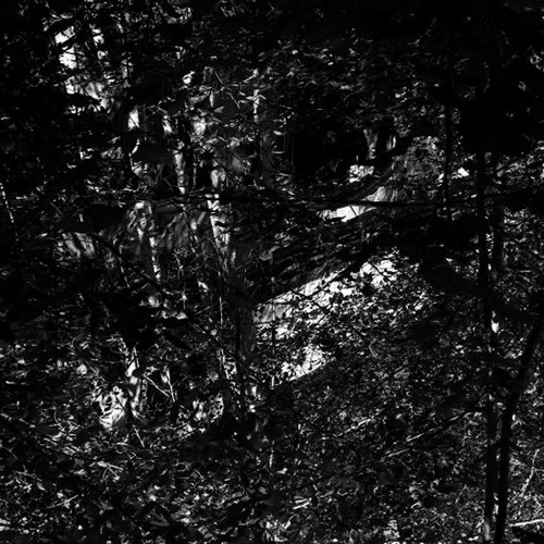 Christian Gerlach - Aztec (Original Extended Trip) *unsigned*