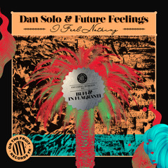 Dan Solo & Future Feelings - I Feel Nothing (Original Mix)