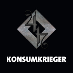 Konsumkrieger (feat. DJ Phönix)