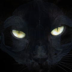 Imogen Heap - Psychobabble (Evilmust RMX)