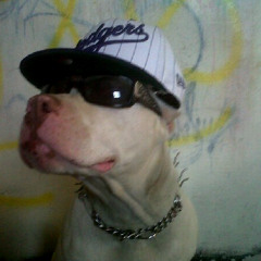 Perro Cualquiera - Puto Joker (Yunta Cale) "Alucinogenoz'Beatz"