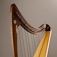 Slow Air "Bridget Cruise" by Turlough O'Carolan - Celtic Harp, violin and tin whistle
