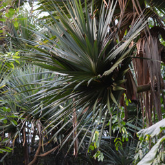 Masoala Rainforest Zoo Zurich