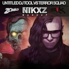 Untitled DJ Tool Vs Terror Squad (Nikxz Mashup)