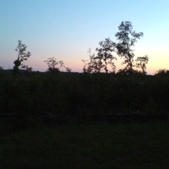 Points Of Reality - YO Sax