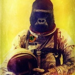 Snoop Lion ft. Major Lazer& Angela Hunte - Here comes the king (4corners-crew RMX)