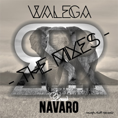 [RSR] Louis Navaro - Walega (Mary Trappins Remix) // Release: 2014-02-27
