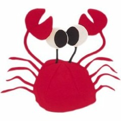 Para Campos de Carvalho (idéias-voz-guia)