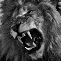 Simba ue (afrohouse)demo