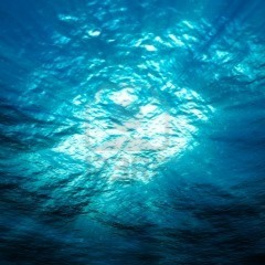 Lonely Ocean (From Casey Neistat Vlog)