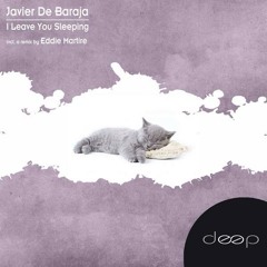 Javier De Baraja - I Leave You (Original Mix)
