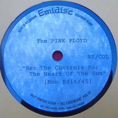 Set The Controls For The Heart Of The Sun