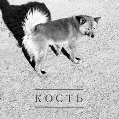 Кость
