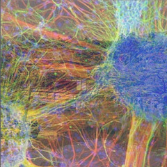 Schizo Layover In Japan Mix