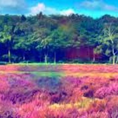 Disfruto INTECK UNO (COVER CARLA MORRISON)