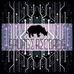 SRS009 - Live Winter Techno Part 2 - DouDax