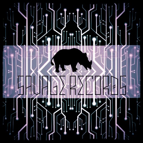 SRS009 - Live Winter Techno Part 2 - DouDax