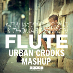 Flute (URBAN CROOKS MASHUP)