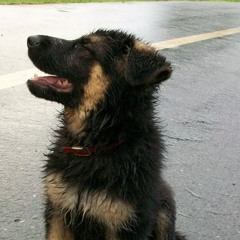 thinkign about bones