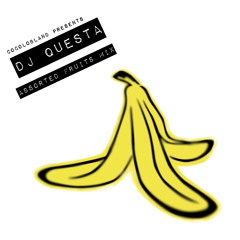 DJ QUESTA / ASSORTED FRUITS MIX