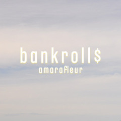 BankRoll$