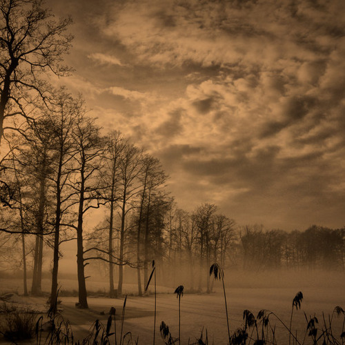 In Winter - Matthew And The Atlas