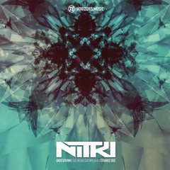 Nitri - Undeserving (feat Wednesday Amelia) HZN072A