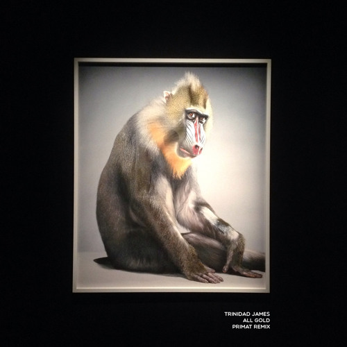 Trinidad James - All Gold (Primat Rework)